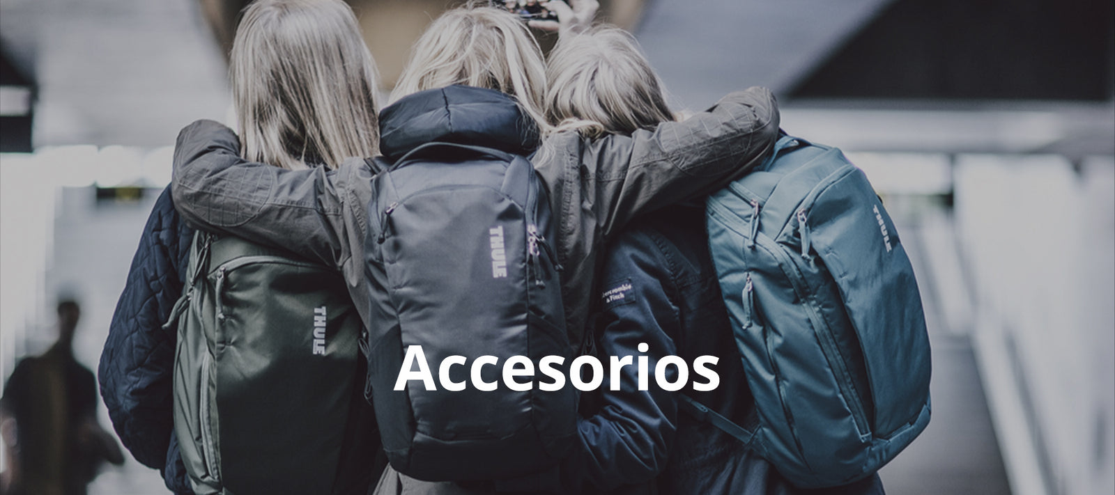 Oficina y Accesorios