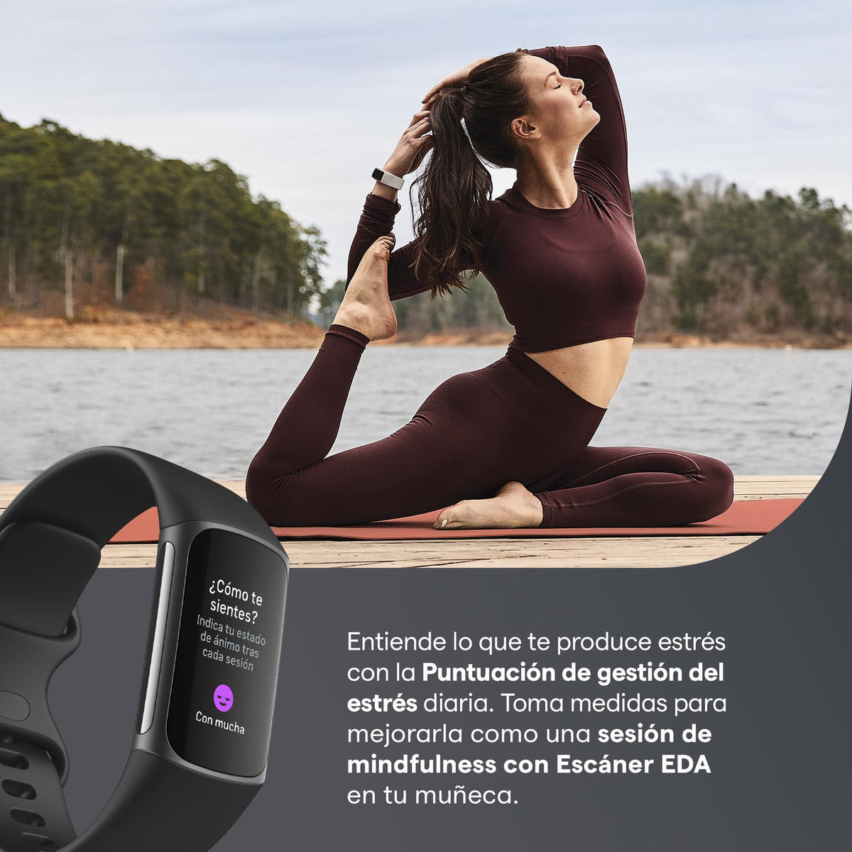 Fitbit Pulsera De Actividad Tracker Charge 5 - vertikal
