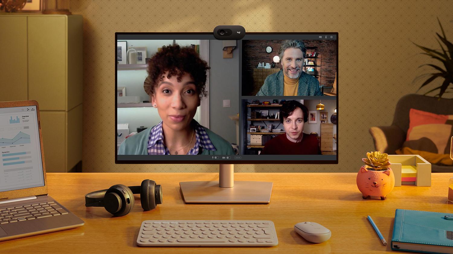 Webcam C505 HD con Micrófono - vertikal