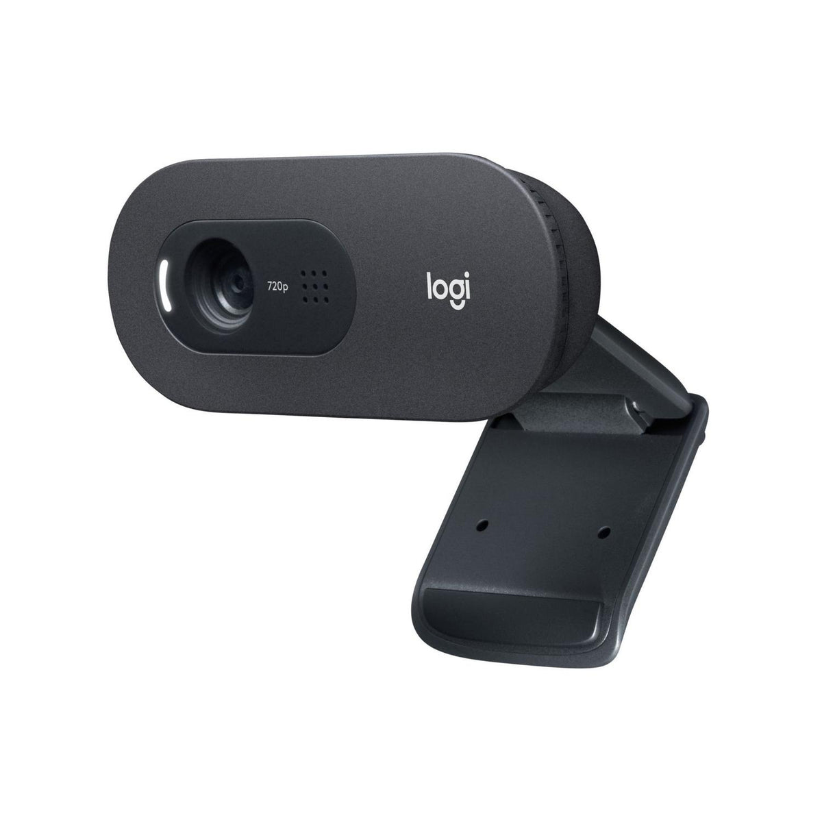 Logitech Webcam Webcam C505 HD con Micrófono - vertikal